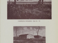 Mostre ed esposizioni di Sergio Cominetti