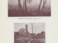 Mostre ed esposizioni di Sergio Cominetti