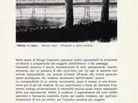 Mostre ed esposizioni di Sergio Cominetti