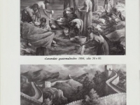 Mostre ed esposizioni di Sergio Cominetti