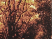 img-ptm-34